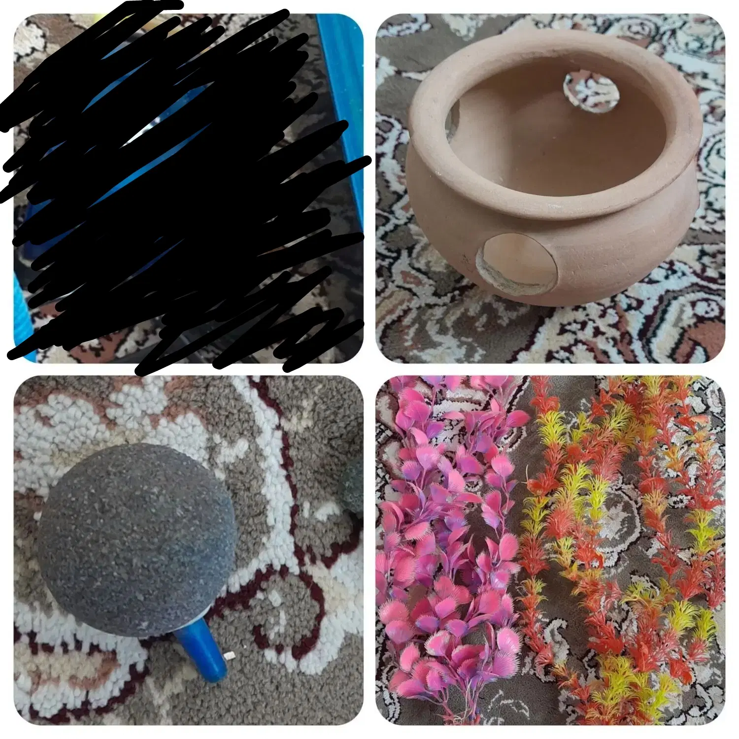 اکواریوم|ماهی|اراک, |دیوار