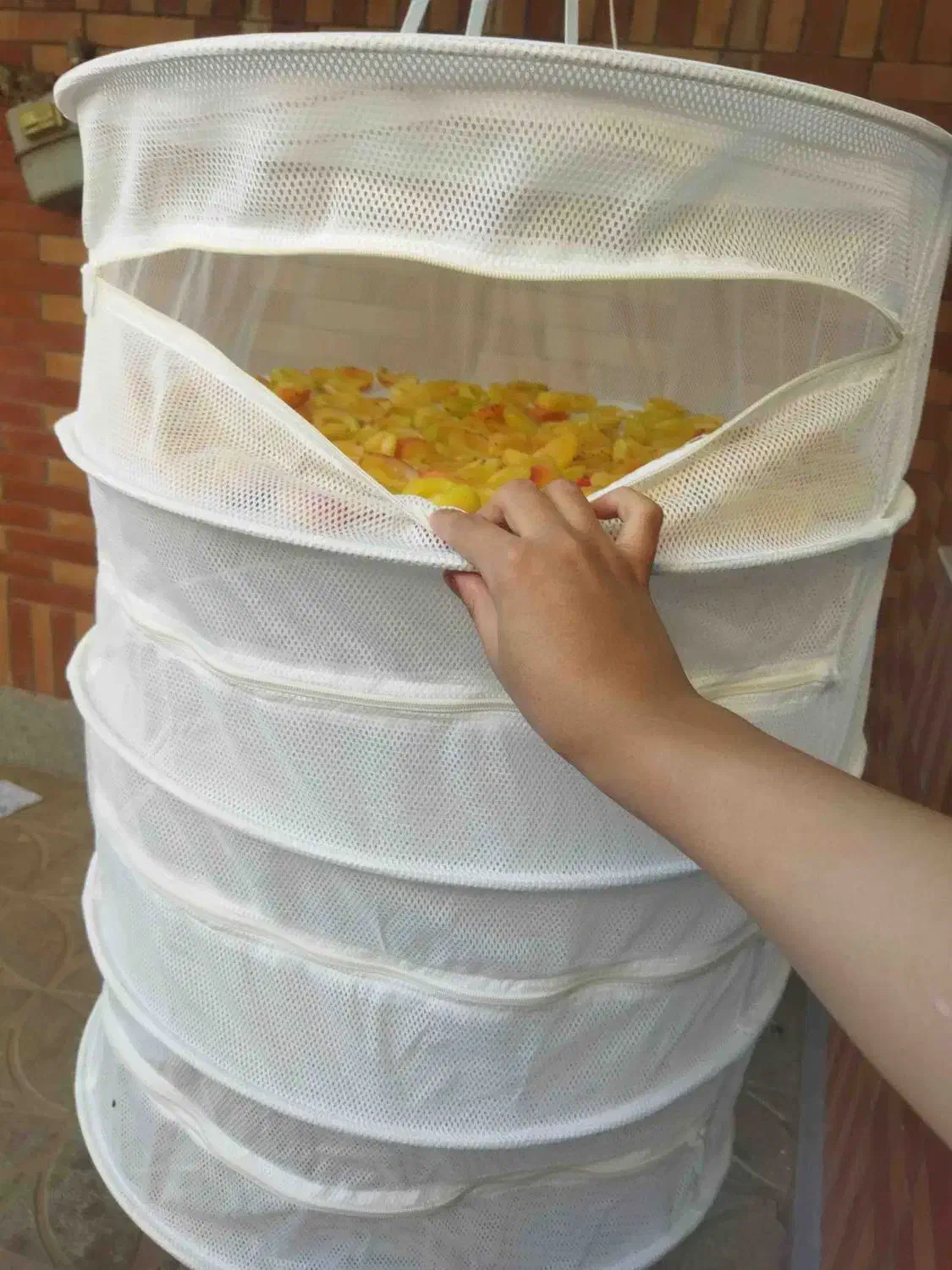 توری خشک کن میوه سبزی|ظروف نگهدارنده، پلاستیکی، یکبارمصرف|زنجان, |دیوار