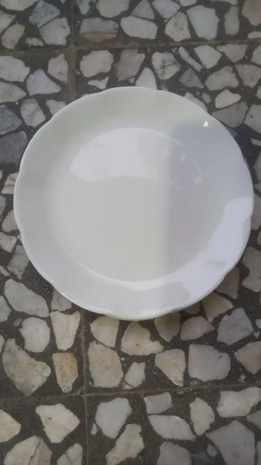 ظروف  زیبا|ظروف سرو و پذیرایی|رشت, رودبارتان|دیوار