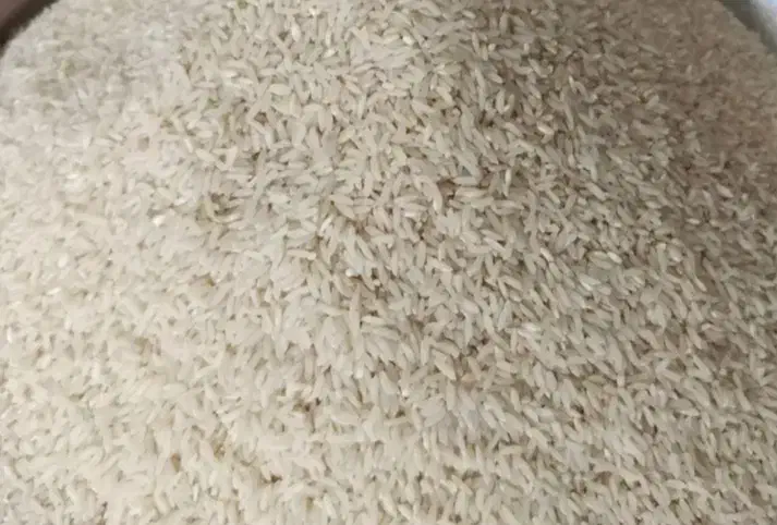برنج درجه یک محلی دورود آبیاری شده بآ آب چاه|خوردنی و آشامیدنی|شاهینشهر, مسکن مهر|دیوار