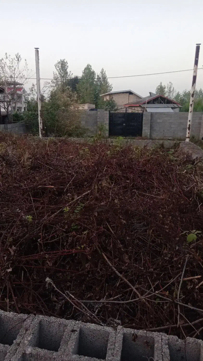 ۳۰۱متر با پروانه ساخت ۷۵متری شهری گورابزرمیخ|فروش زمین و ملک کلنگی|گوراب زرمیخ, |دیوار