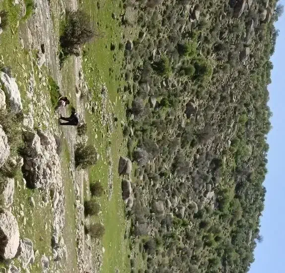 مسکن ملی در فیروزآباد|فروش آپارتمان|فیروزآباد (فارس), |دیوار