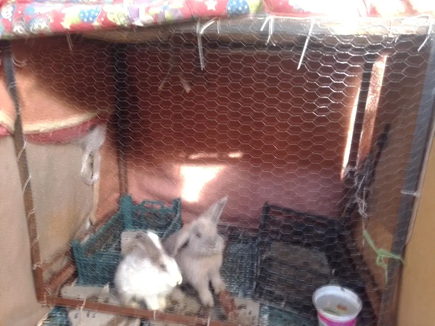 قفس بزرگ آهنی مخصوص خرگوش مرغ مرغابی کبوتر|لوازم جانبی حیوانات|طرقبه, |دیوار