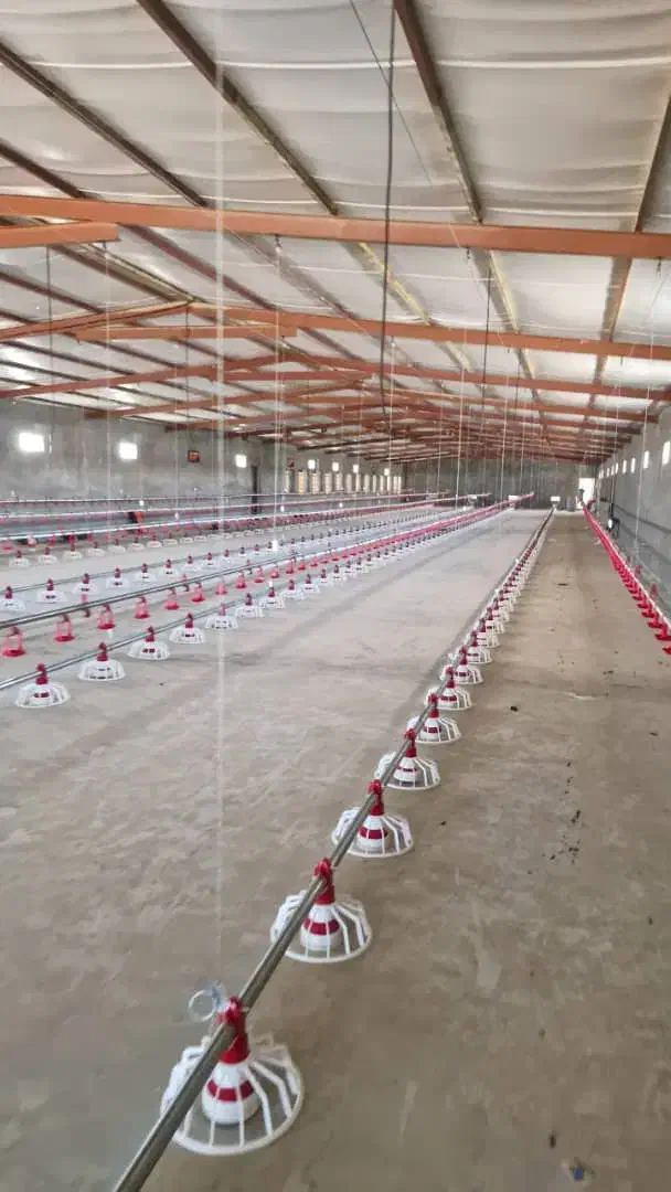 مرغداری گوشتی|استخدام صنعتی، فنی، مهندسی|تیکمه داش, |دیوار