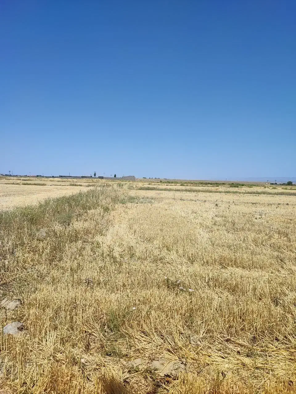 اب چاه روستای  کلات میان (نزدیک به بافت)|خدمات باغبانی و درختکاری|چناران, |دیوار