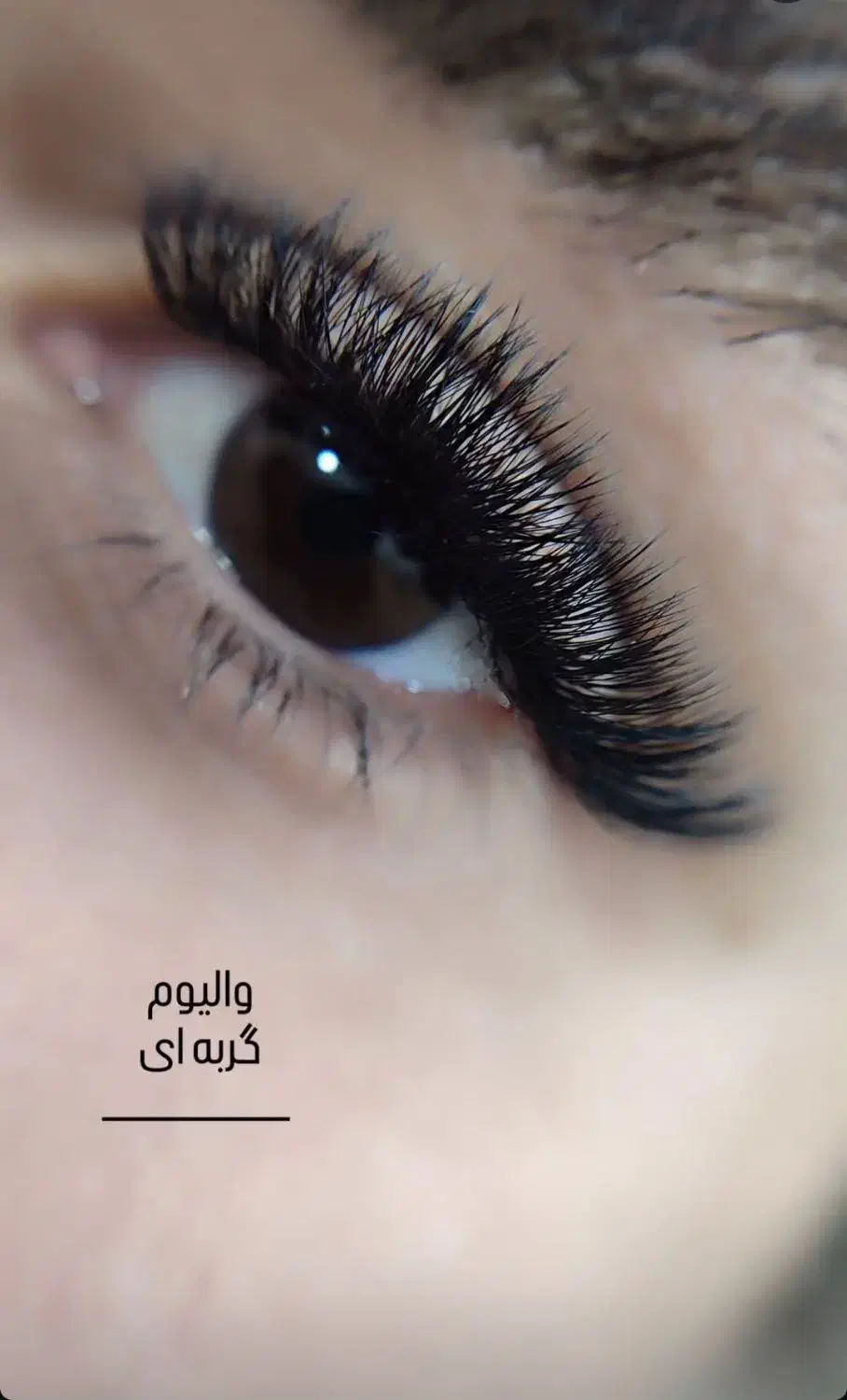 مژه و لیفت|خدمات آرایشگری و زیبایی|تربت جام, بیست متری منبع آب|دیوار