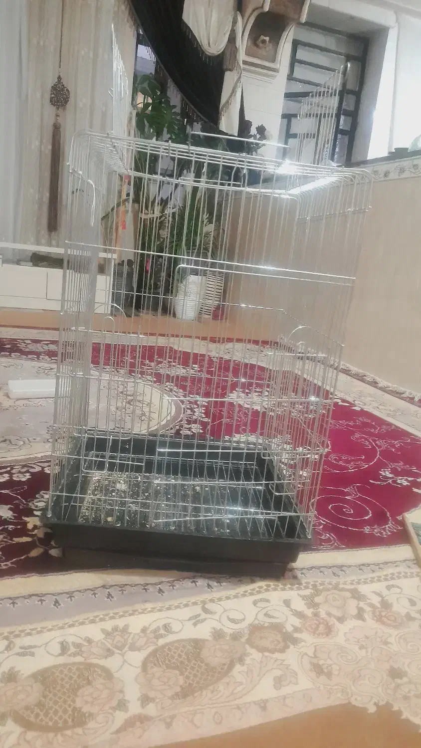 قفس چیکو|لوازم جانبی حیوانات|ایلام, |دیوار