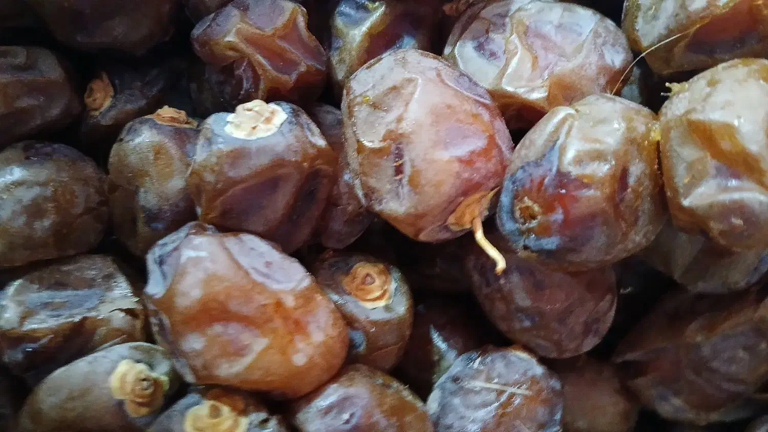 خرما برحی|خوردنی و آشامیدنی|اهواز, اسماعیلیه|دیوار