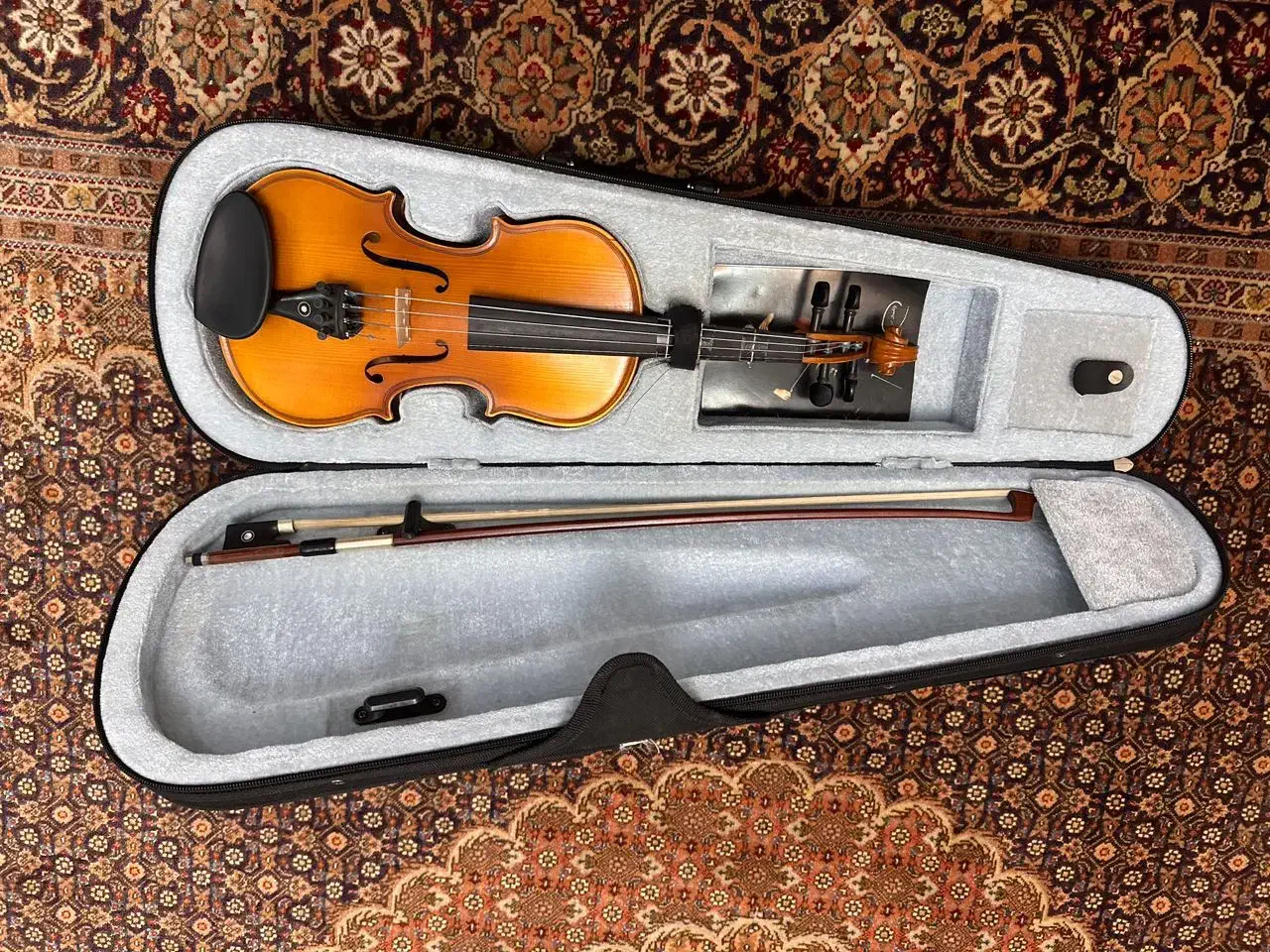 ویالون کاملا نو|ویولن|کرج, دهقان ویلا|دیوار