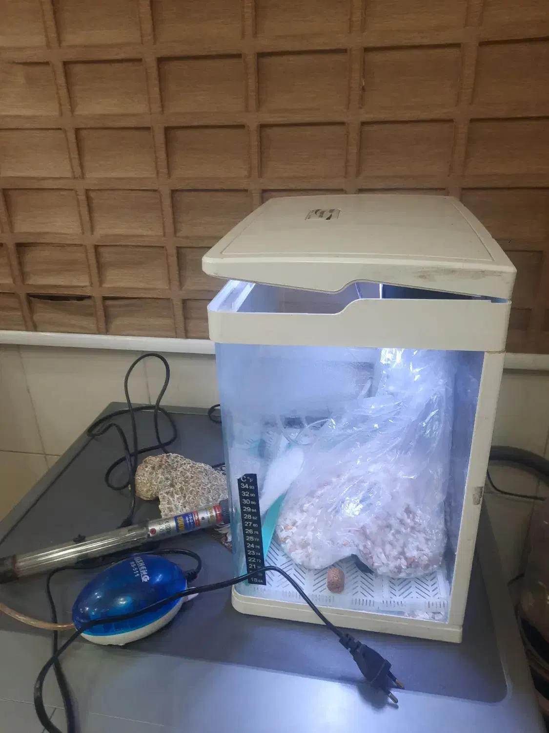 آکواریوم با تمام متعلقات|ماهی|تهران, دکتر هوشیار|دیوار