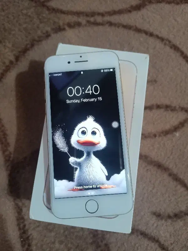 آیفون 7|موبایل|بندرعباس, |دیوار