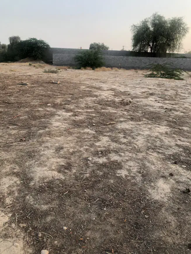 زمین زراعی میناب روستای جوزان|اجارهٔ دفتر صنعتی، کشاورزی، تجاری|میناب, |دیوار