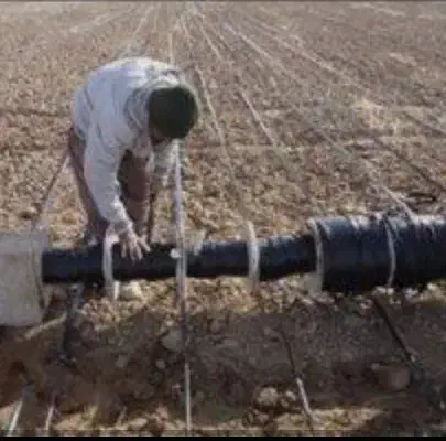 نیازمند کارگر کشاورزی|استخدام صنعتی، فنی، مهندسی|کازرون, |دیوار