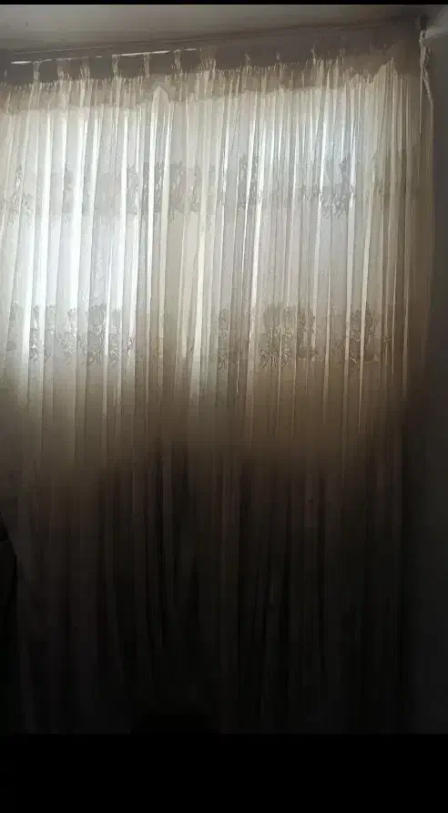 پرده توری|پرده، رانر، رومیزی|کازرون, |دیوار