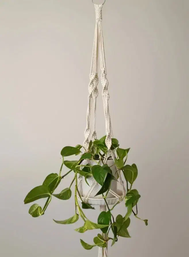 آویز گلدان مکدومه|صنایع دستی و سایر لوازم تزئینی|تهران, شهرک رضویه|دیوار