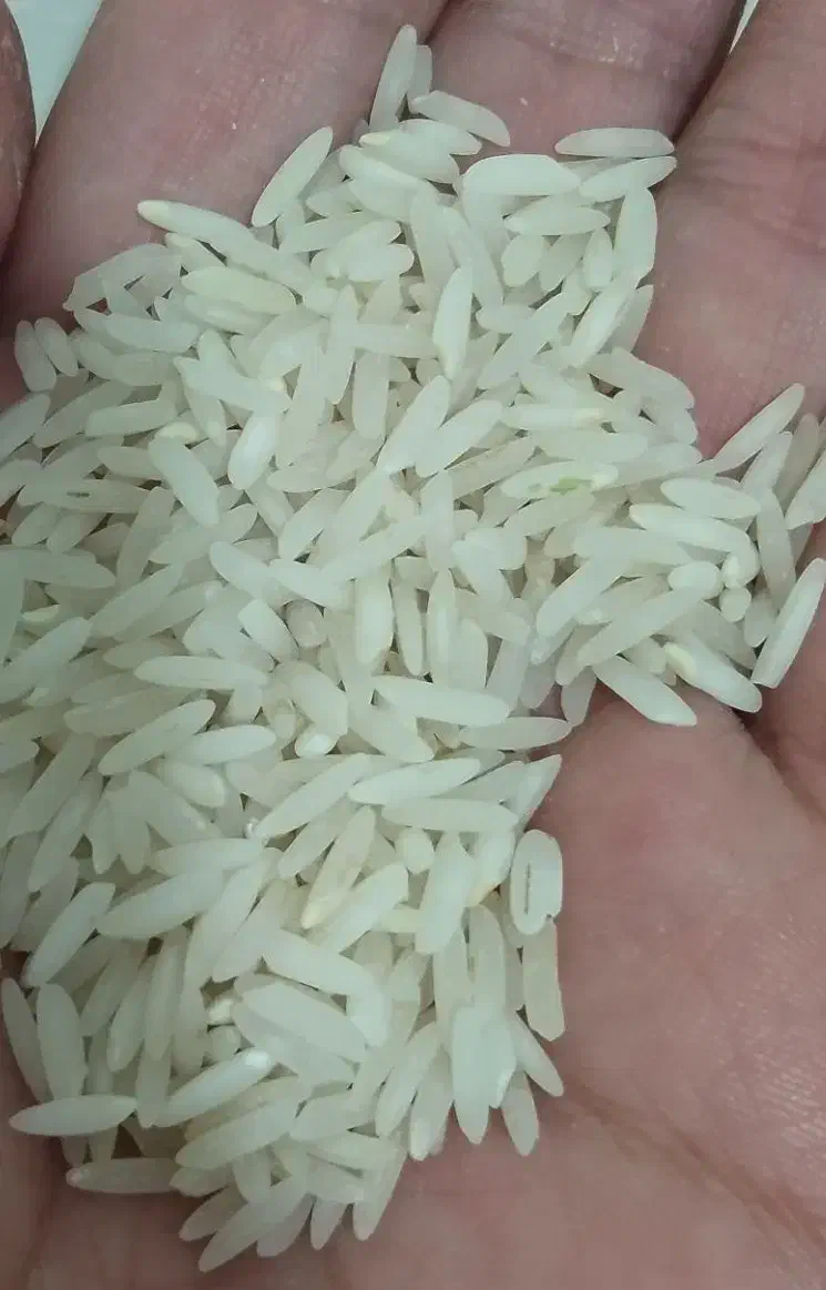 برنج میانه|خوردنی و آشامیدنی|تبریز, |دیوار