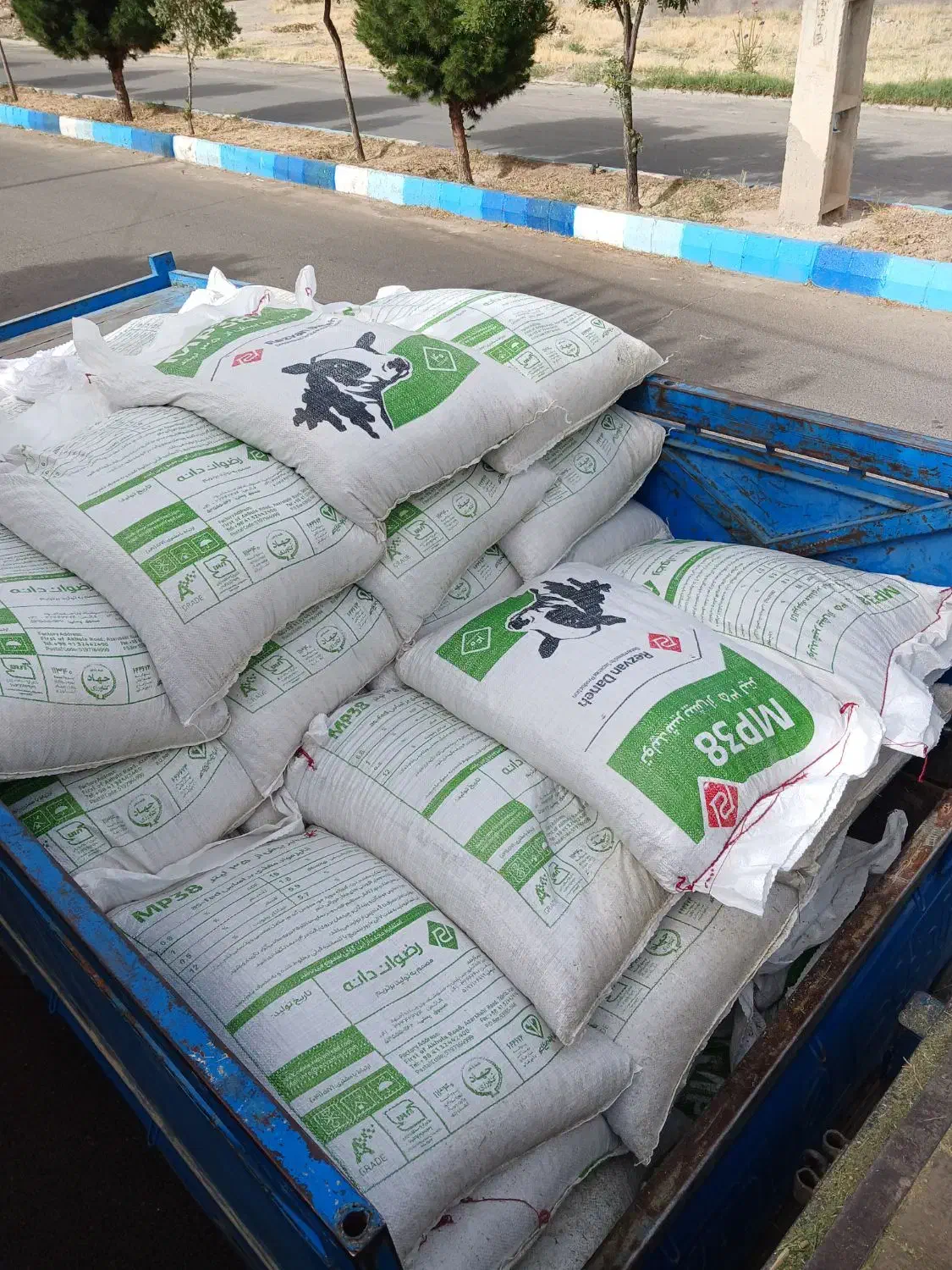 توزیع خوراک کنسانتره کارخانه رضوان دانه|عمدهفروشی|ملکان, |دیوار