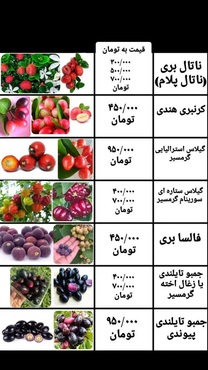 نهال پشن فروت و گواوا و انبه و موز و انواع استوایی|گل و گیاه طبیعی|ساری, |دیوار