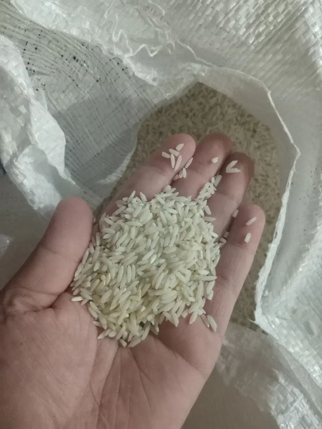 برنج|خوردنی و آشامیدنی|رشت, آب و برق|دیوار