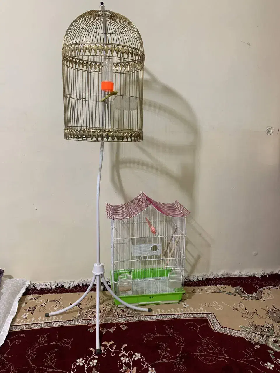 دو عدد قفس کلاسیک|لوازم جانبی حیوانات|تربت جام, شهرک معلم|دیوار