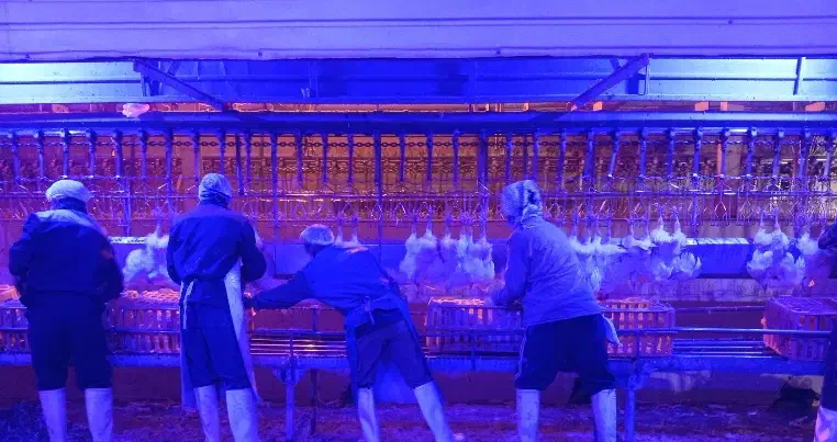 استخدام|استخدام خدمات فروشگاه و رستوران|مشهد, تبادکان|دیوار