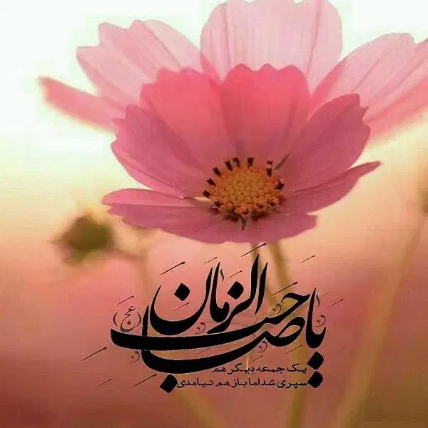 نماز و روزه استیجاری|خدمات پذیرایی، مراسم|شاهین‌شهر, خانه کارگر|دیوار