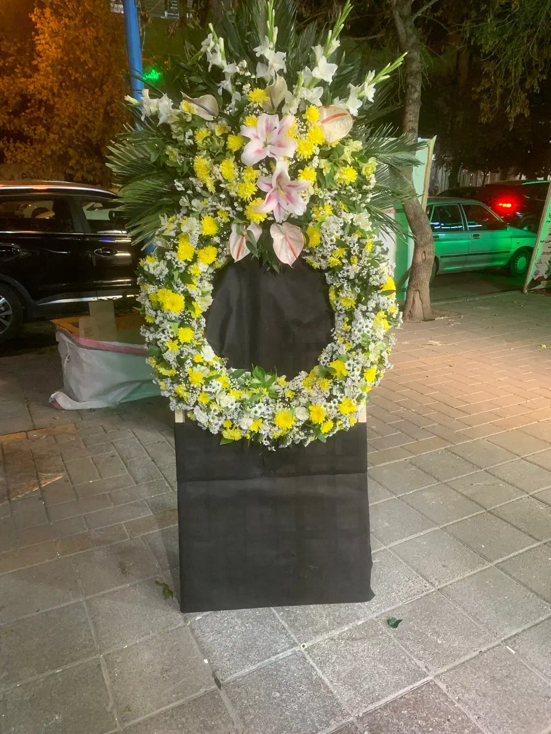 تاج گل ایستاده|گل و گیاه طبیعی|سلماس, |دیوار