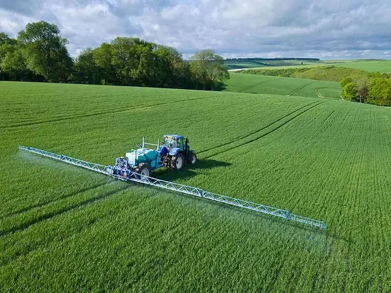 فروش زمین باغ کشاورزی لیوان|فروش زمین و ملک کلنگی|نوکنده, |دیوار