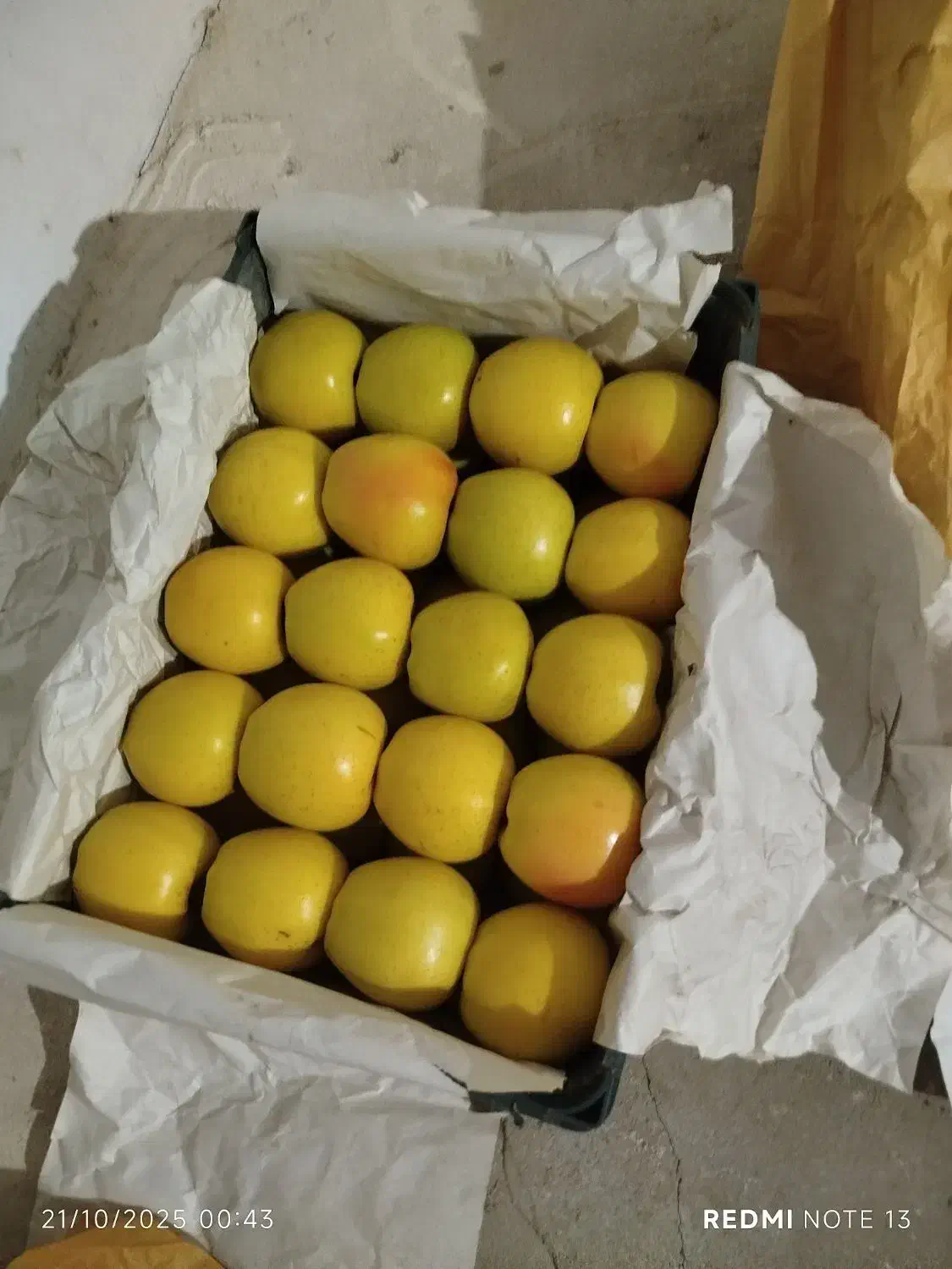 سیب|عمده‌فروشی|سرشیو, |دیوار