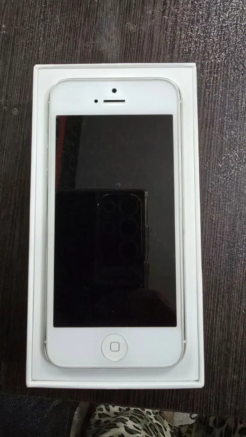 آیفون ۵|موبایل|مشهد, ارشاد|دیوار