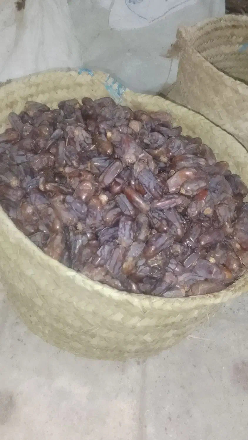 مجول|خوردنی و آشامیدنی|اهواز, شهرک توسعه نیشکر|دیوار