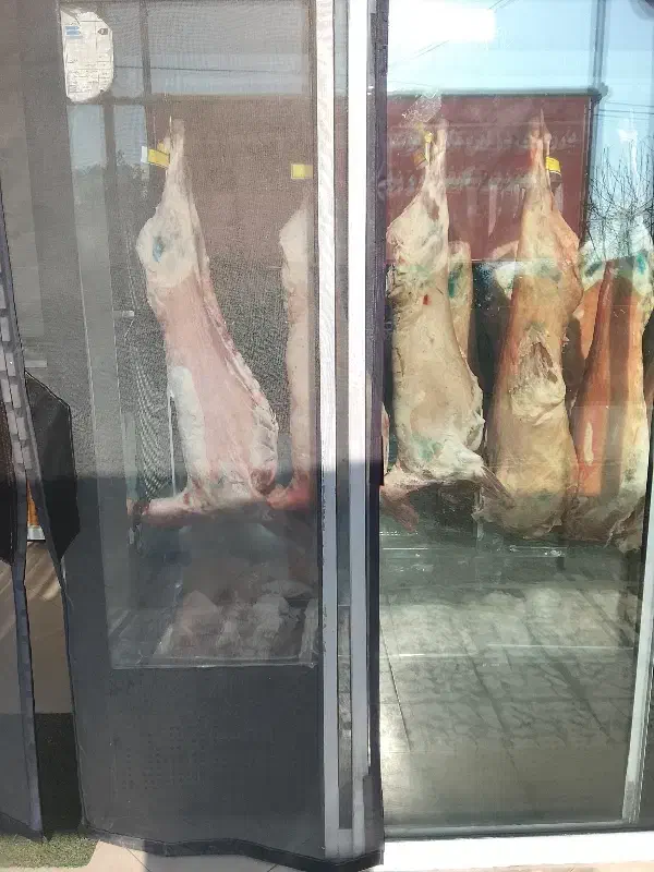 گوشت بره نرینه|خوردنی و آشامیدنی|چالوس, |دیوار