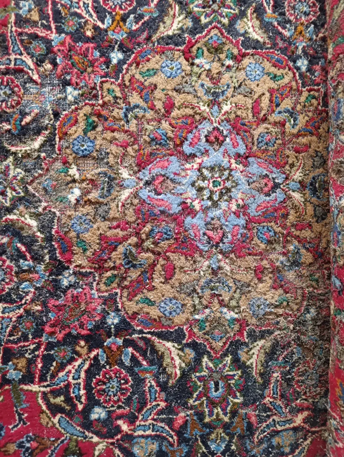 فرش پشمی کاشمری بید خورده|فرش|مشهد, اقبال|دیوار