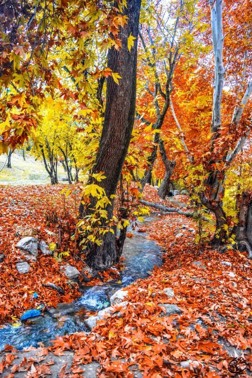 نیازمند پارکینگ برای ماشین|خودرو اجاره‌ای|کرمانشاه, |دیوار