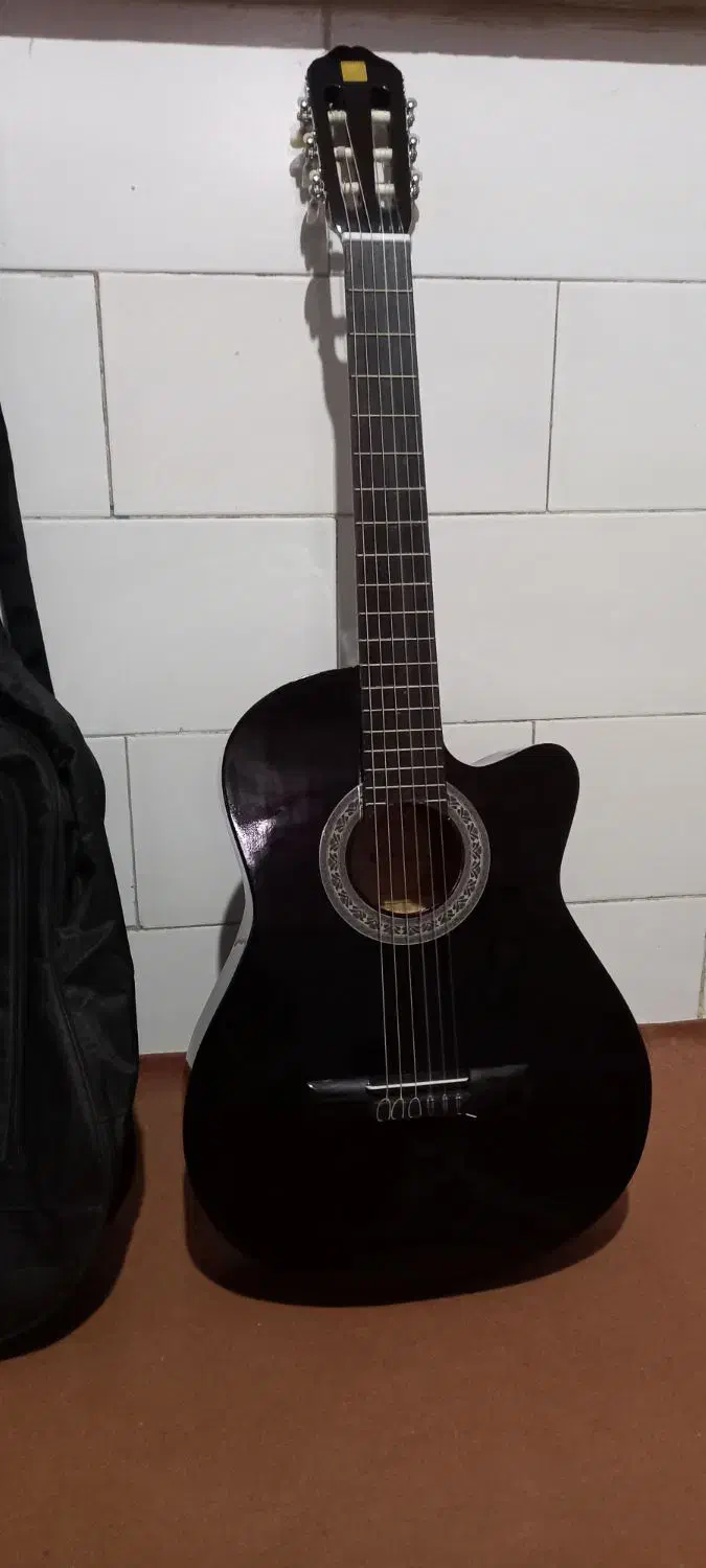 فروش گیتار همراه با کیف|گیتار، بیس، امپلیفایر|بافق, |دیوار