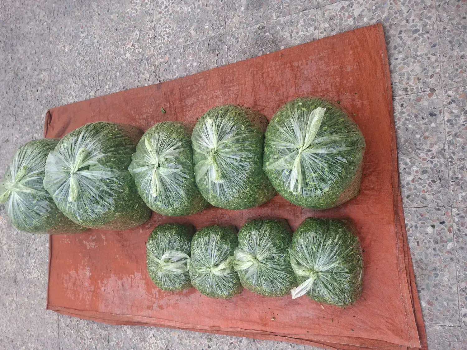 سبزی اشی مخصوص ..اش،وحلیمی تره خالی،در بسته های|خوردنی و آشامیدنی|کیانشهر, |دیوار