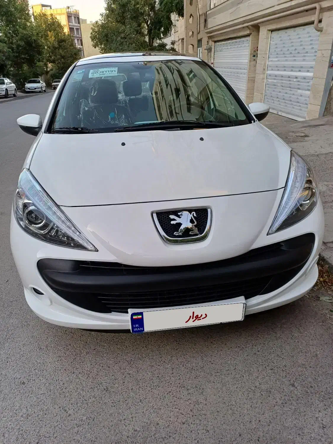 ۲۰۷ پانا پلاس خشک|خودرو سواری و وانت|همدان, |دیوار