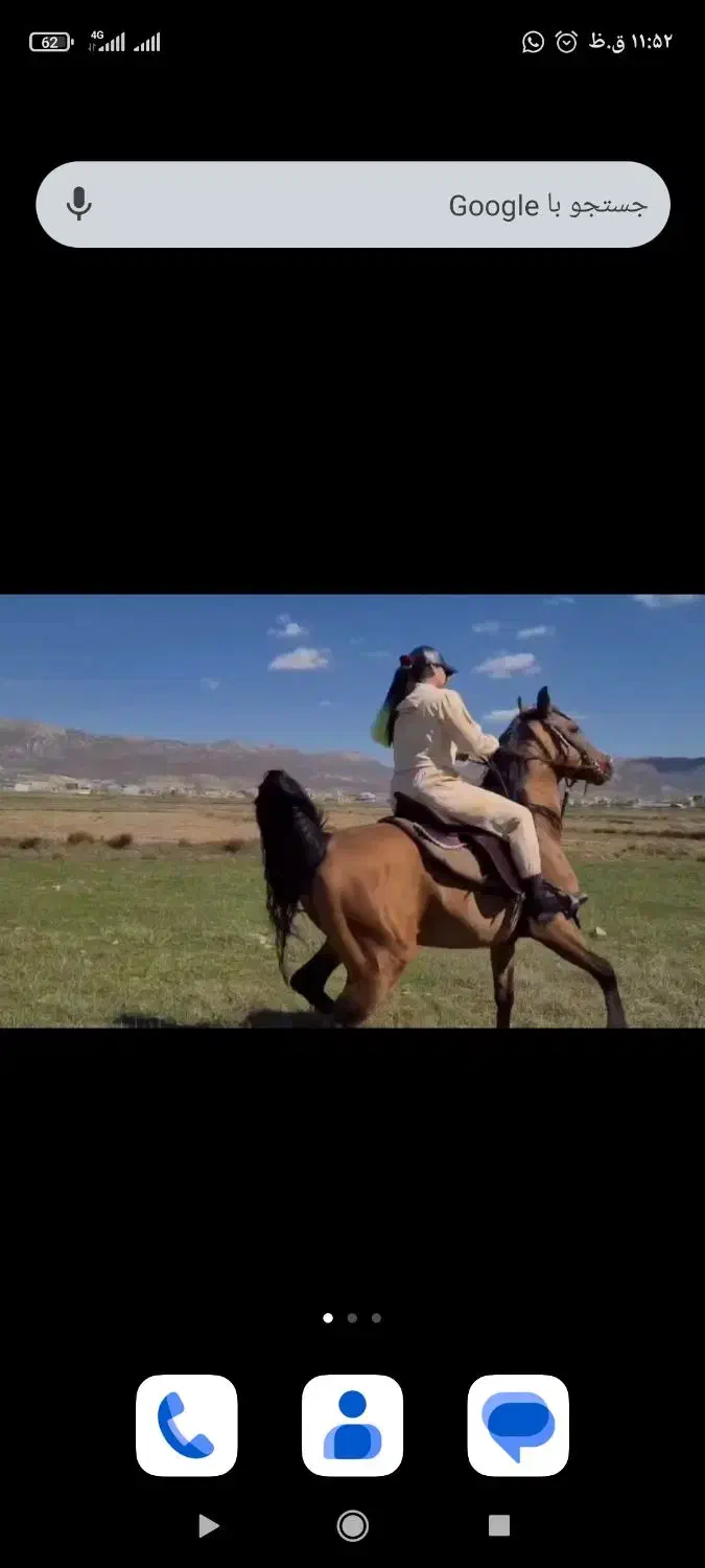 اسب|اسب و تجهیزات اسب‌سواری|یزد, |دیوار