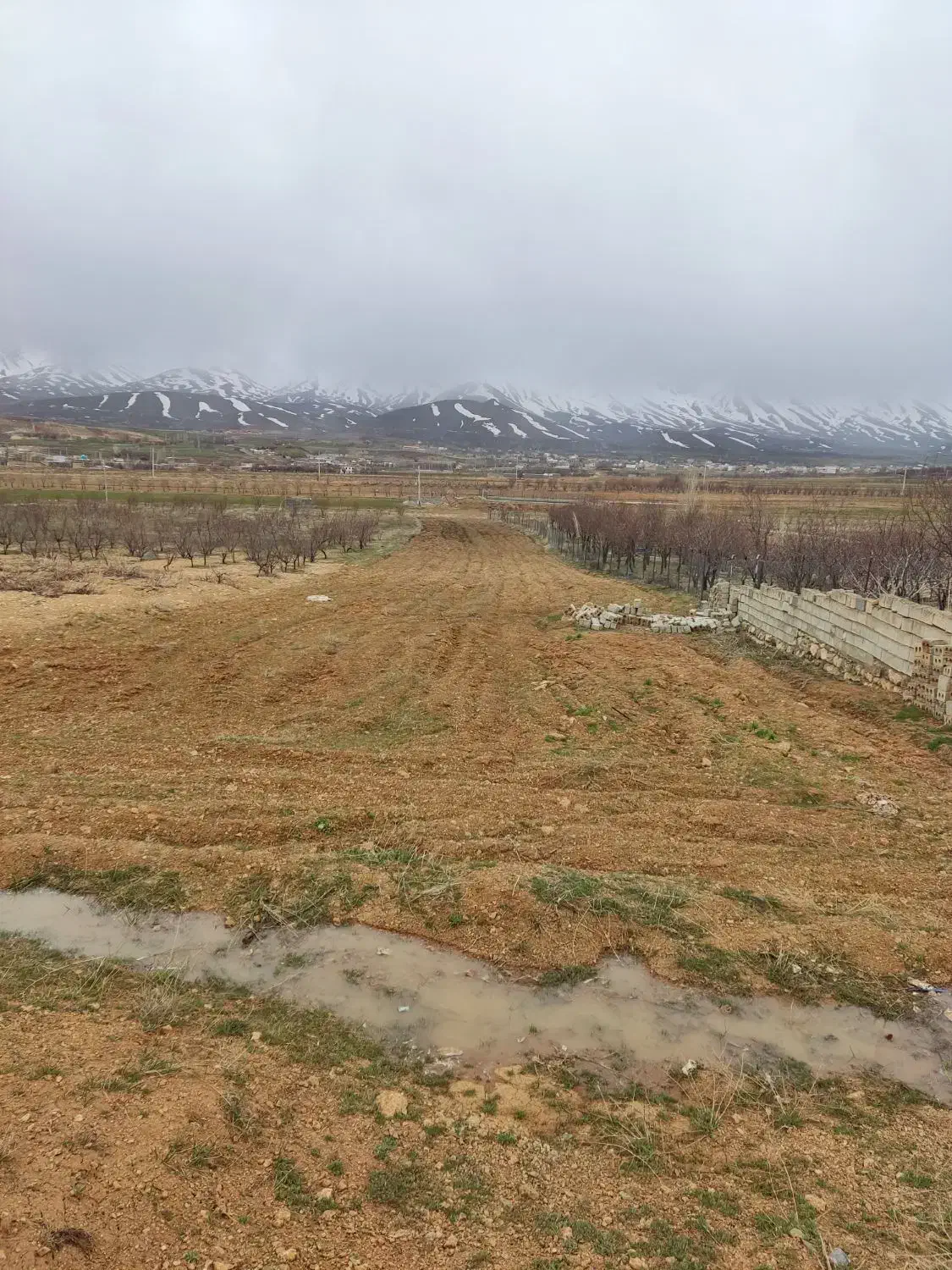 2900مترزمین باغی فریدونشهر|فروش زمین و ملک کلنگی|فریدونشهر, |دیوار