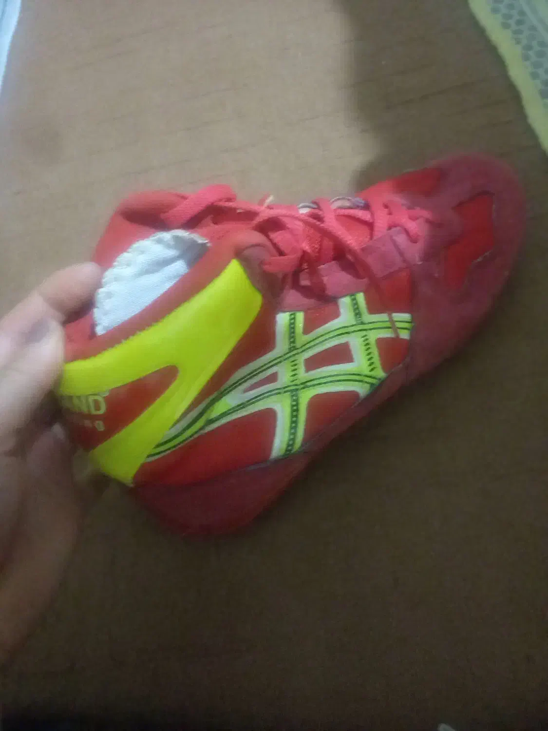 کفش کشتی|کیف، کفش، کمربند|شاهین دژ, |دیوار