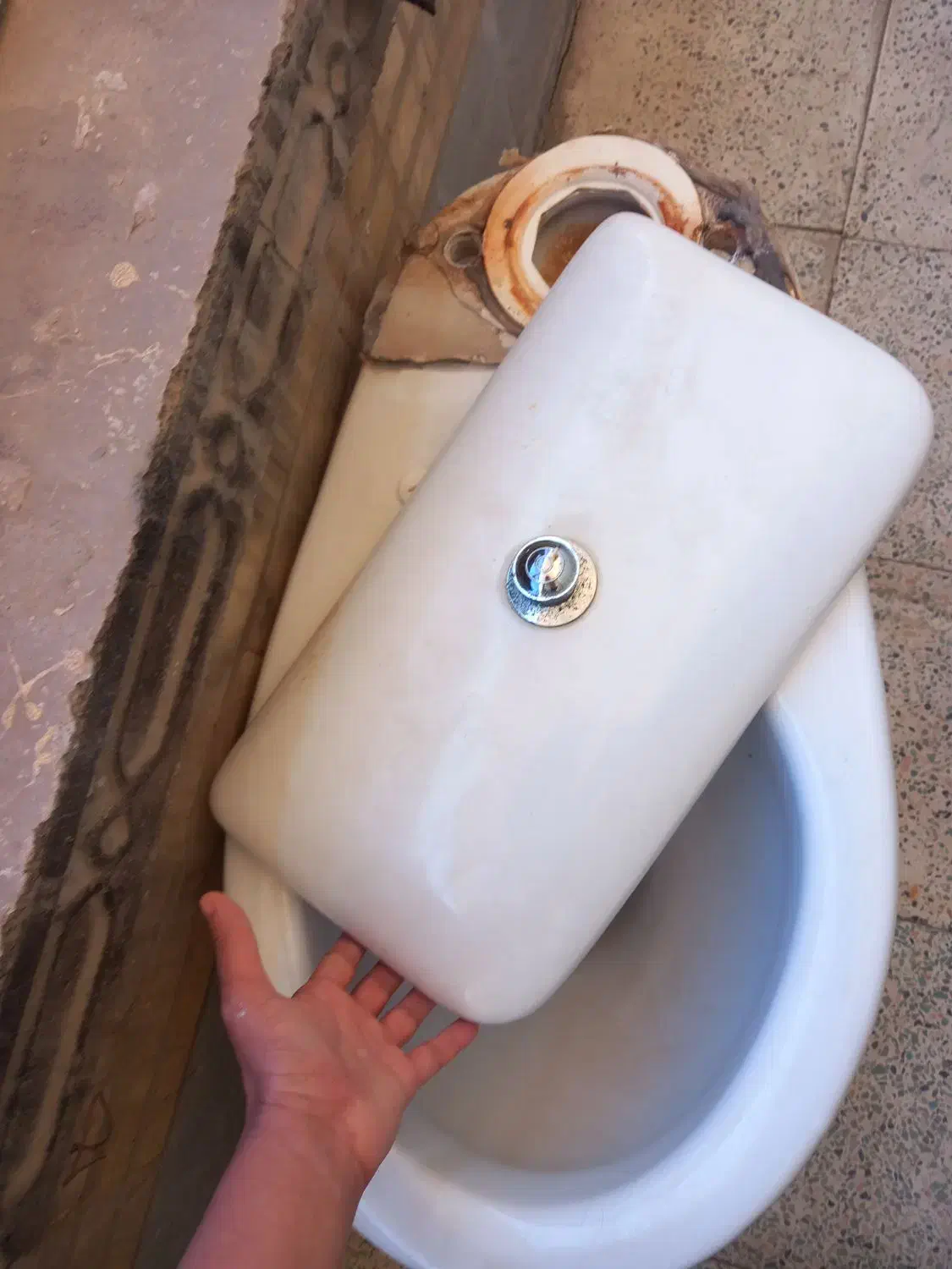 دستشویی فرنگی|لوازم سرویس بهداشتی|اهواز, فاز ۲ پادادشهر|دیوار