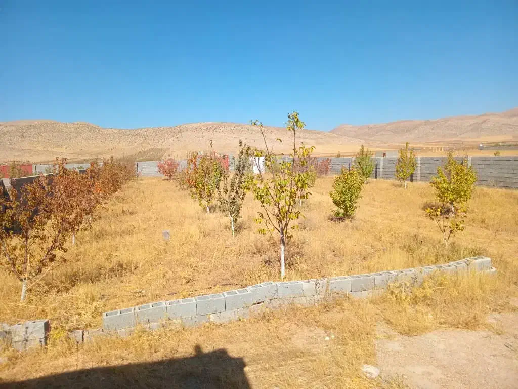 باغ ۱۱۰۰ متری با ۵۰ عدد درخت|فروش زمین و ملک کلنگی|شیراز, کودیان|دیوار