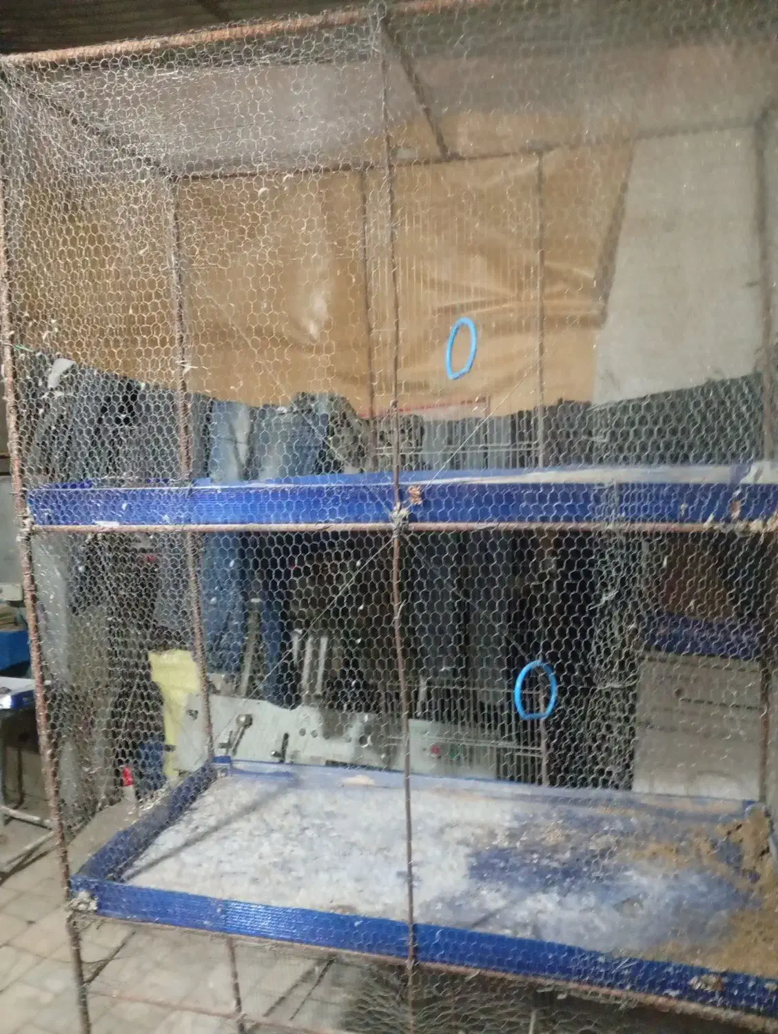 قفس|لوازم جانبی حیوانات|اردکان, |دیوار