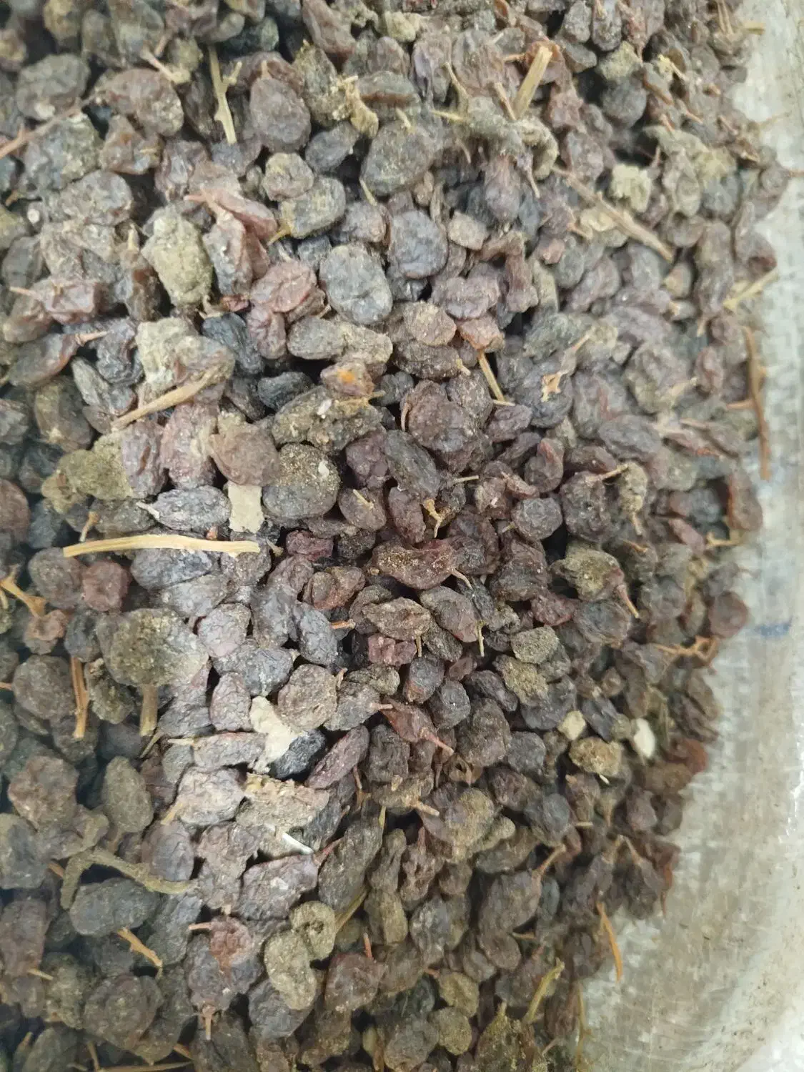 پخش عمده و جزیی کشمش آفتابی ، مویز ،|خوردنی و آشامیدنی|اهواز, منبع اب|دیوار