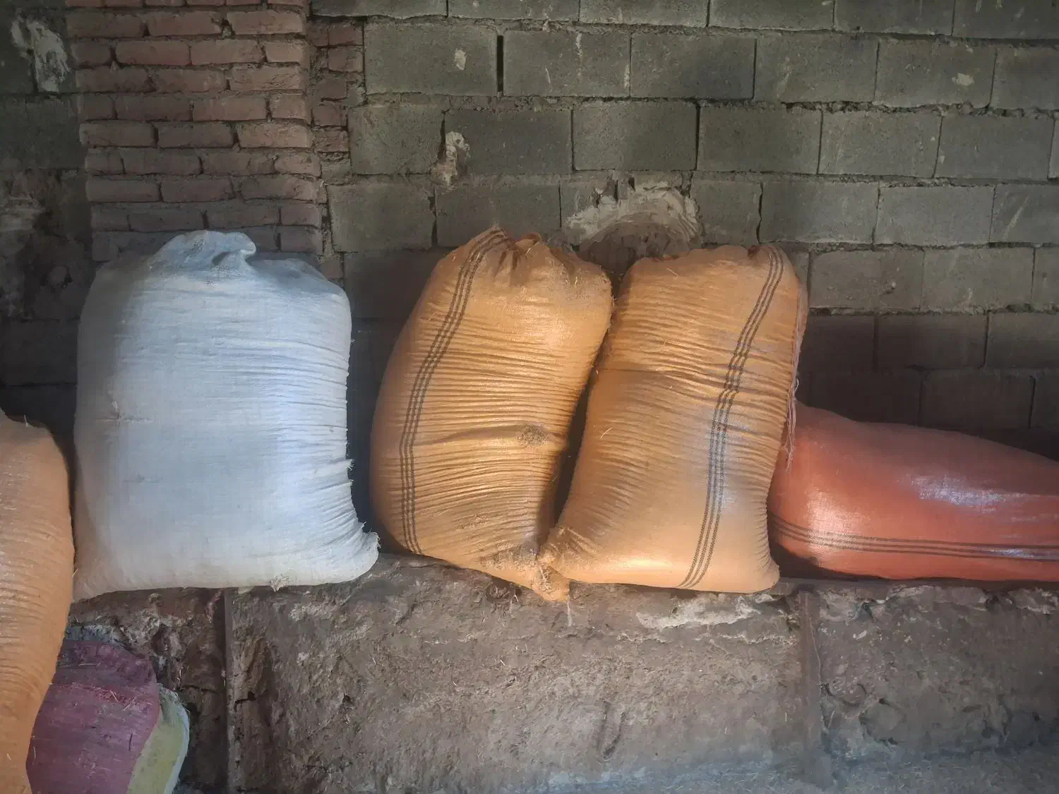 کاه عدس|حیوانات مزرعه|اردبیل, |دیوار