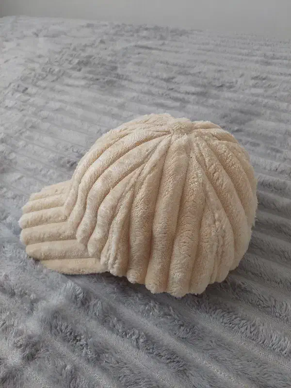 کلاه زنانه|لباس|تهران, سازمان برنامه شمالی|دیوار