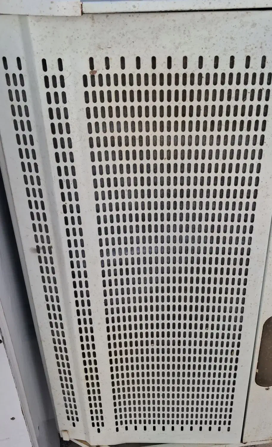 هود|هود|شیراز, فرگاز|دیوار