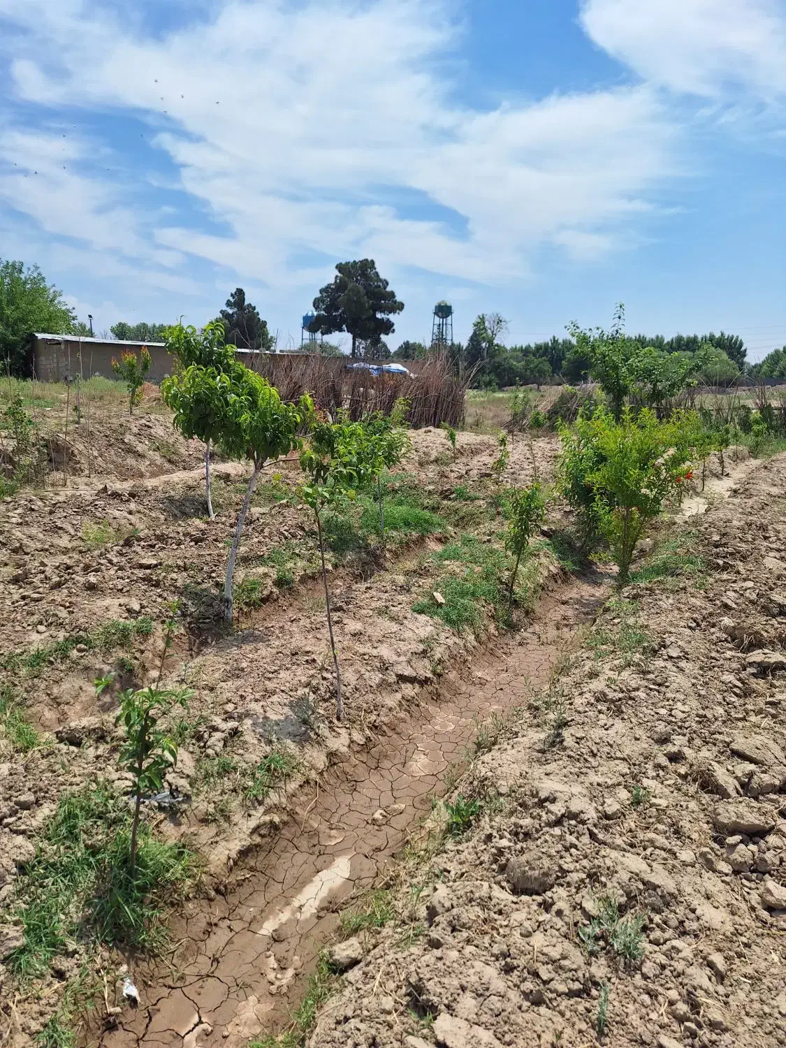 زمین ۳۰۰ متر فیروز بهرام|فروش زمین و ملک کلنگی|چهاردانگه (تهران), |دیوار