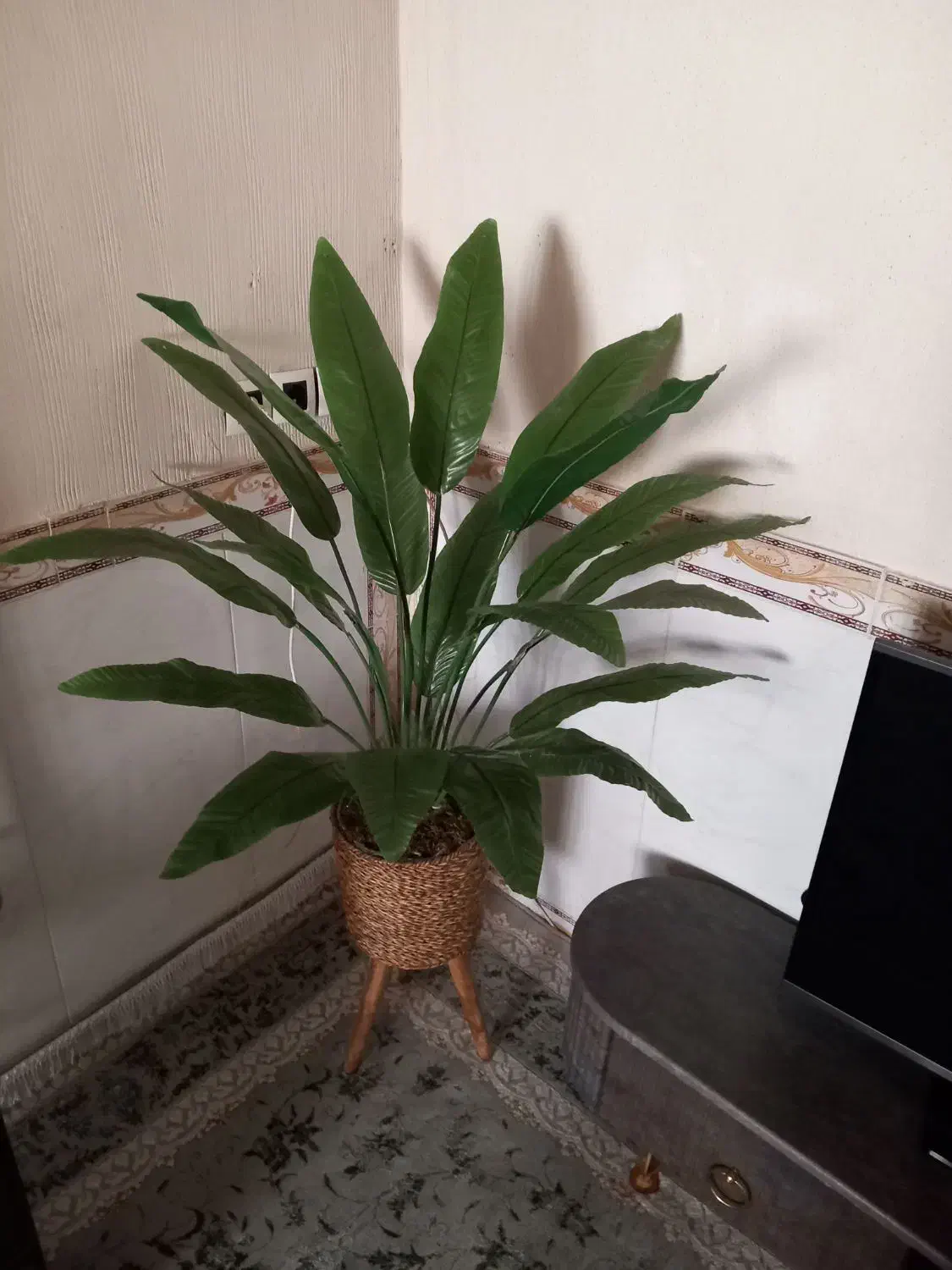 درختچه پرنده بهشتی ۱ونیم متر|گل مصنوعی|جوانرود, |دیوار