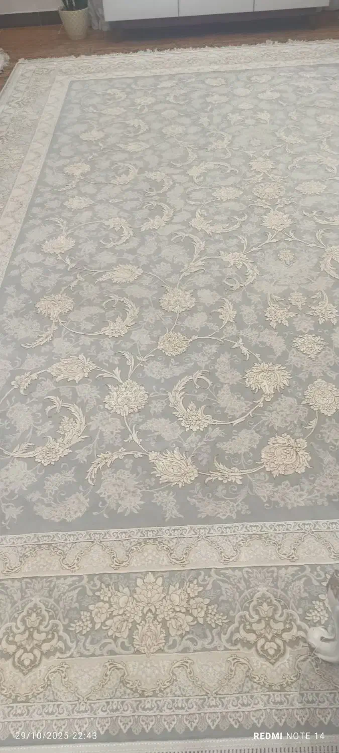 فرش کاملا سالم|فرش|صومعهسرا, |دیوار